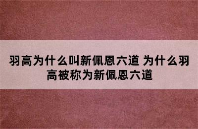 羽高为什么叫新佩恩六道 为什么羽高被称为新佩恩六道